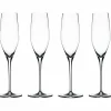Authentis Champagneglas 19 cl 4pack