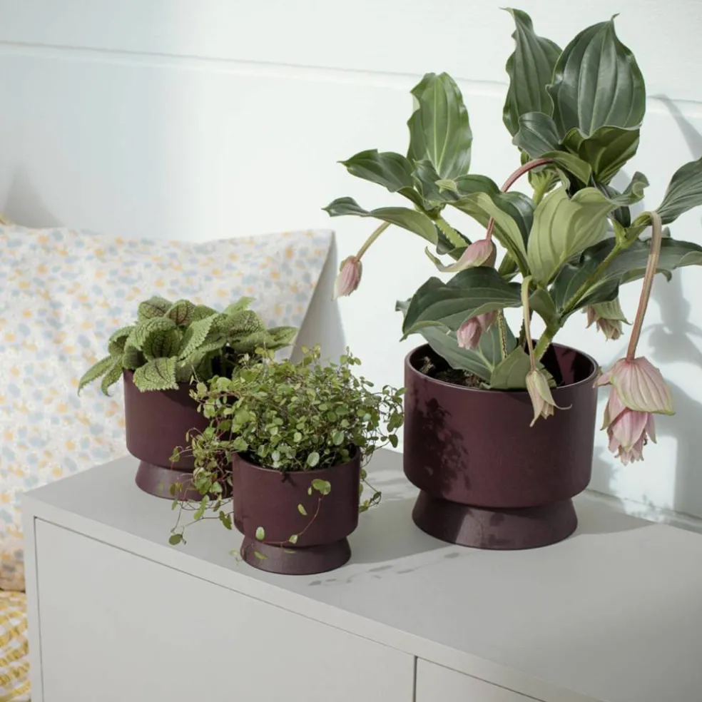Blomkruka 19 cm. mörkgrön
