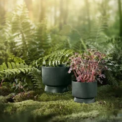 Blomkruka 19 cm. mörkgrön
