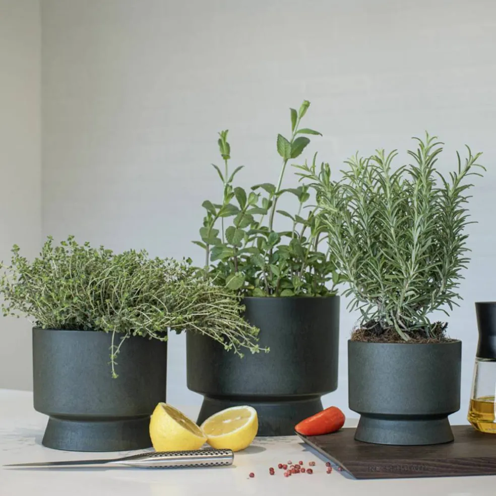 Blomkruka 19 cm. mörkgrön