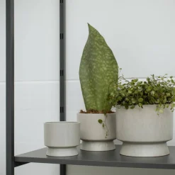 Blomkruka sand 15 cm.