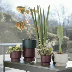 Blomkruka sand 15 cm.