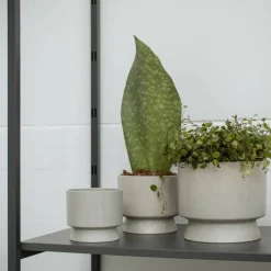 Blomkruka sand 15 cm.