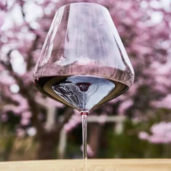 Bourgogne vinglas 960 ml. 2 st.