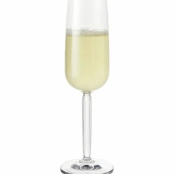 Champagneglas 24 cl klar, 2-pack
