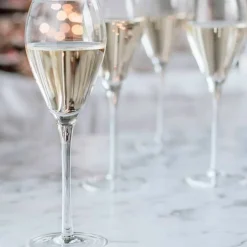 Champagneglas 16 cl, 6-pack