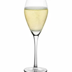Champagneglas 16 cl, 6-pack