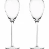Champagneglas 16 cl 2-pack, klar