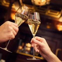 Champagneglas 220 ml. 6 st.