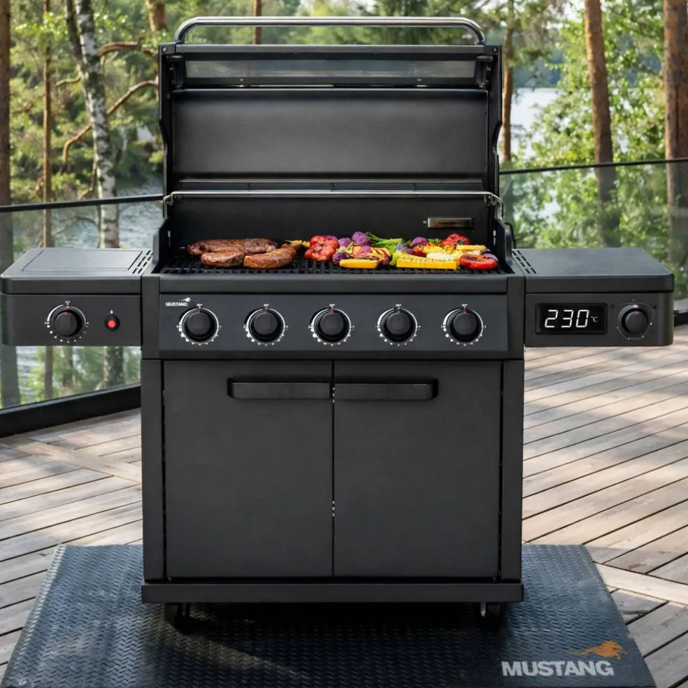 Charleston gasolgrill 5+1