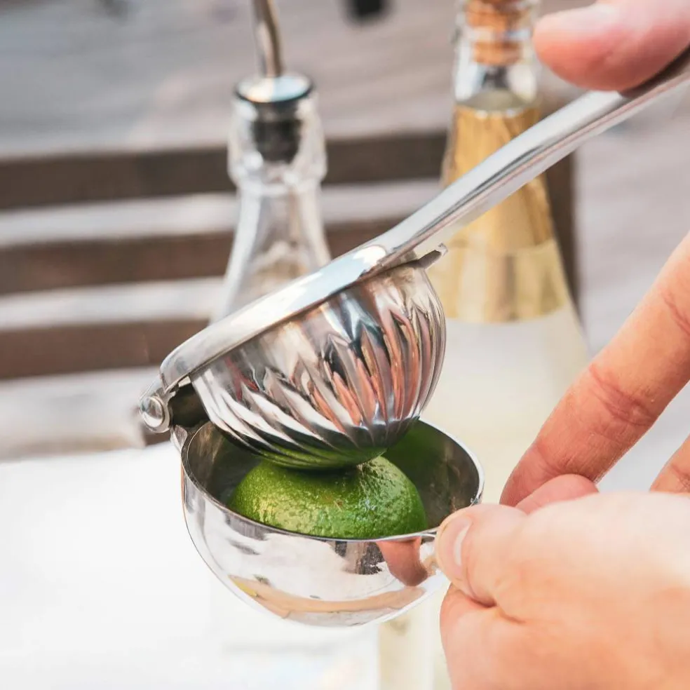 Citruspress, rostfritt stål