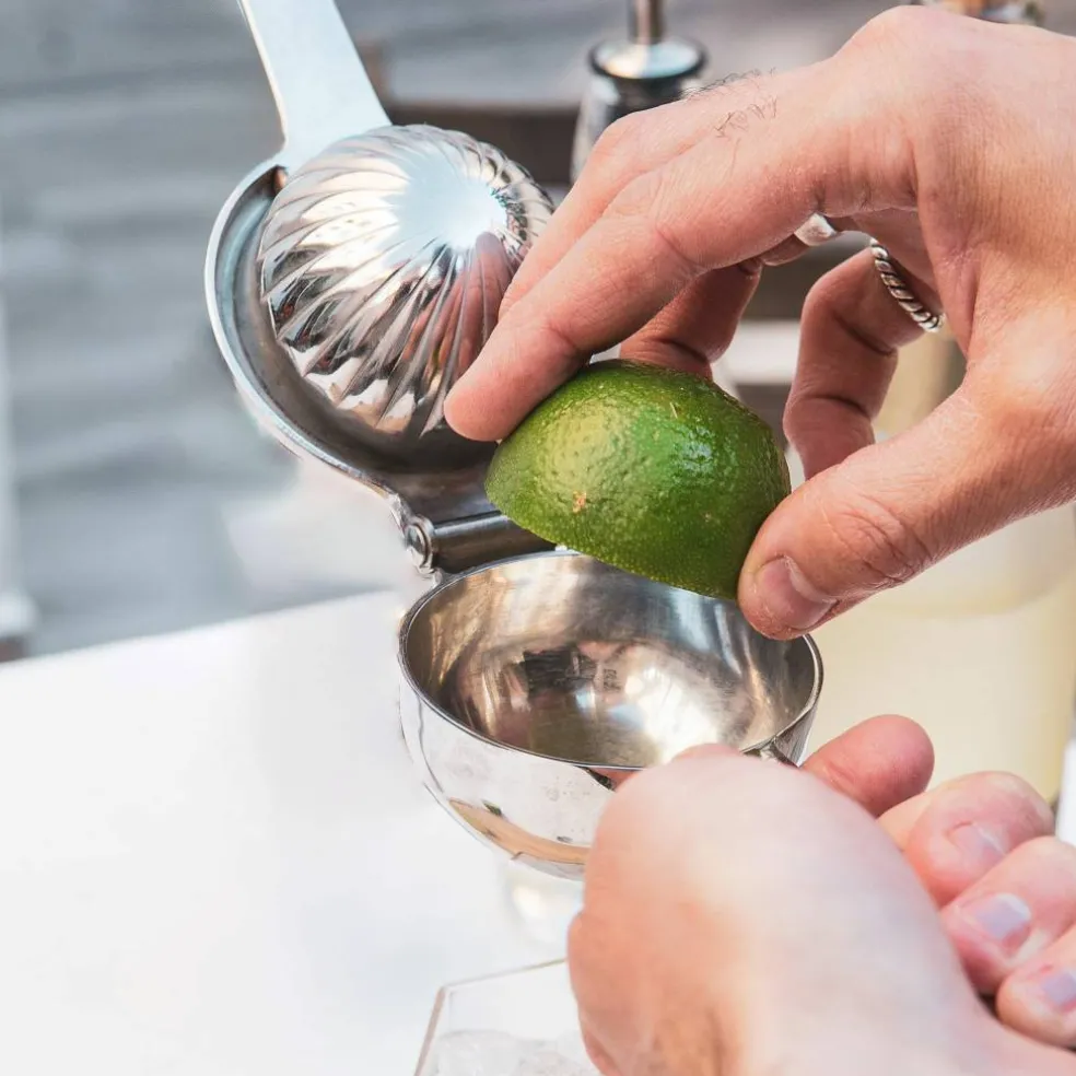 Citruspress, rostfritt stål