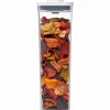 Container 2,1L