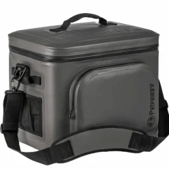 Cooler Bag 22 kylväska, grå