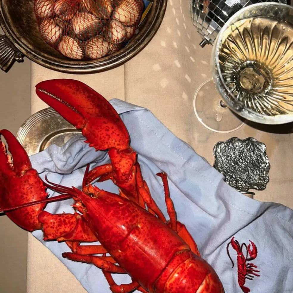 Crayfish servett 40x40 cm 4-pack