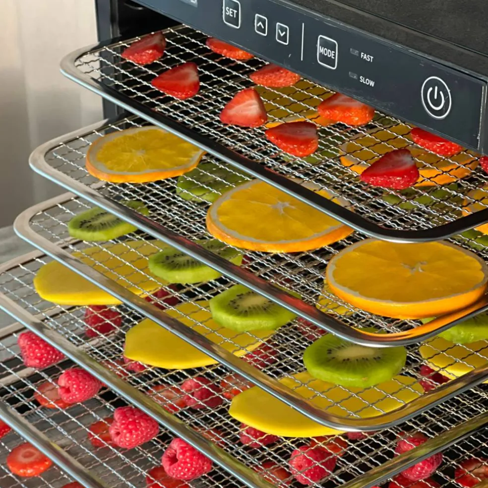 Dehydrador Pro med nonstick-mattor
