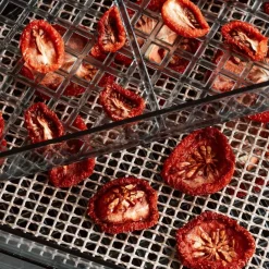 Dehydrator torkugn 5 lager