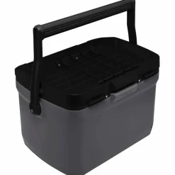 Easy-Carry kylbox 15 liter, peach rose