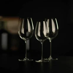 Enoteca Chardonnay vitvinsglas 41 cl, 2-pack