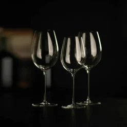 Enoteca Chardonnay vitvinsglas 41 cl, 2-pack