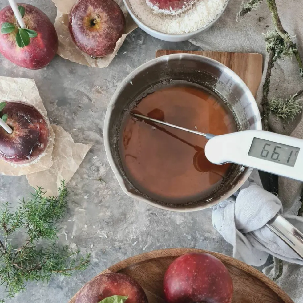 ETI Classic Termometer Vit