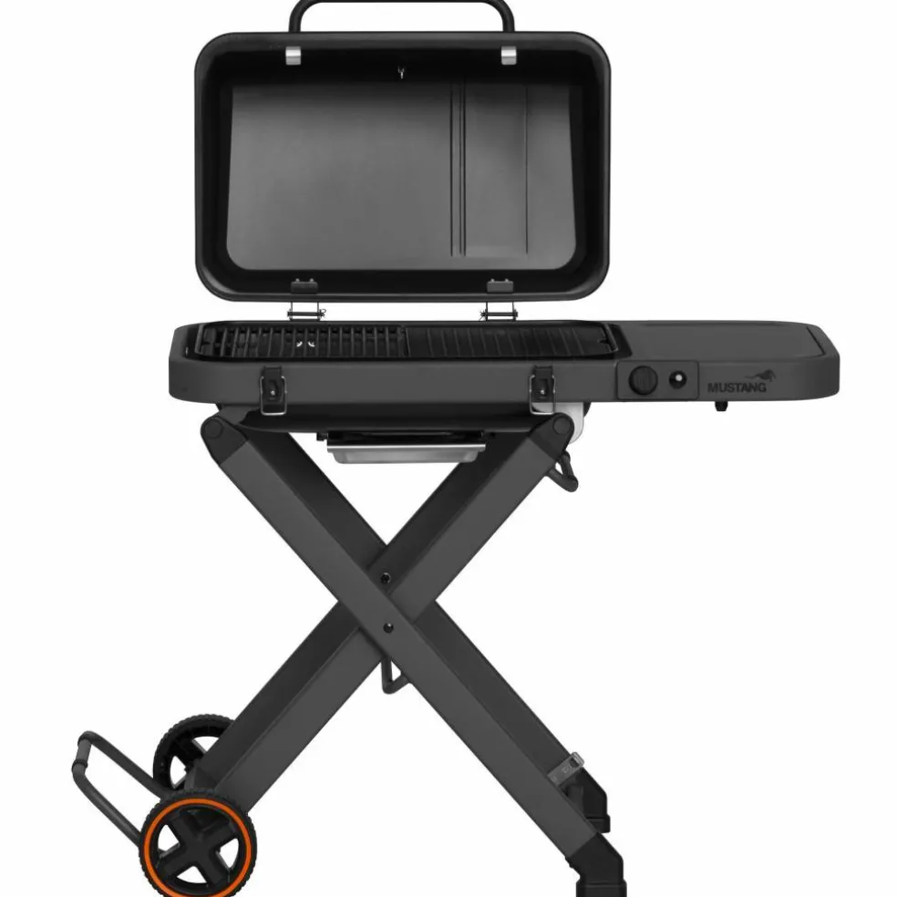 Fold gasolgrill