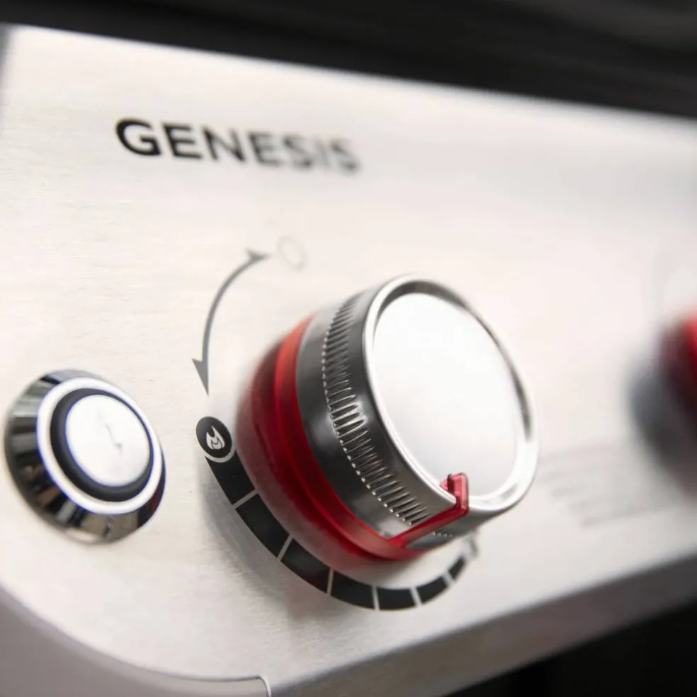 Genesis E-315 Gasolgrill