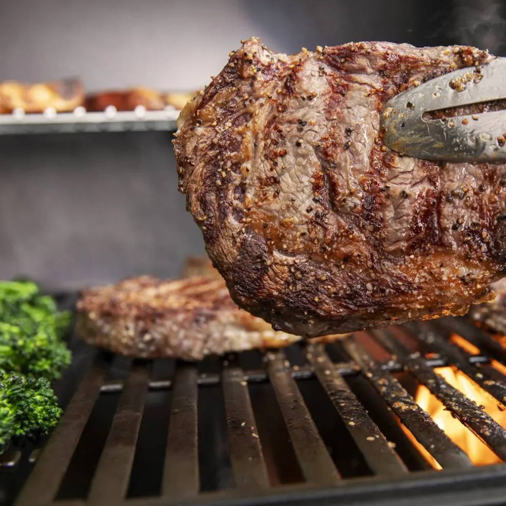 Genesis E-315 Gasolgrill