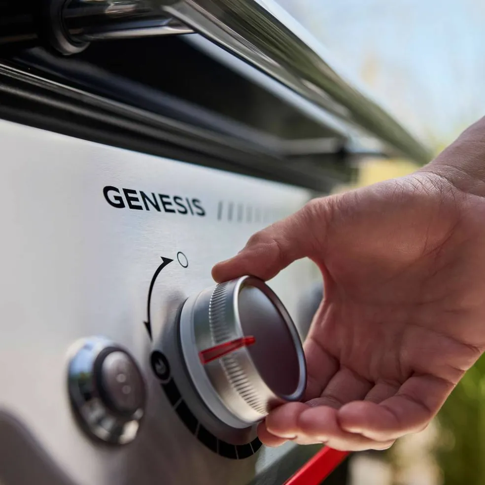 Genesis E-425W Gasolgrill