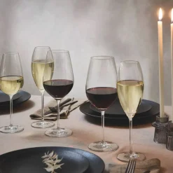 Glanzlicht champagneglas, 2-pack