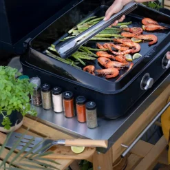 Grillset