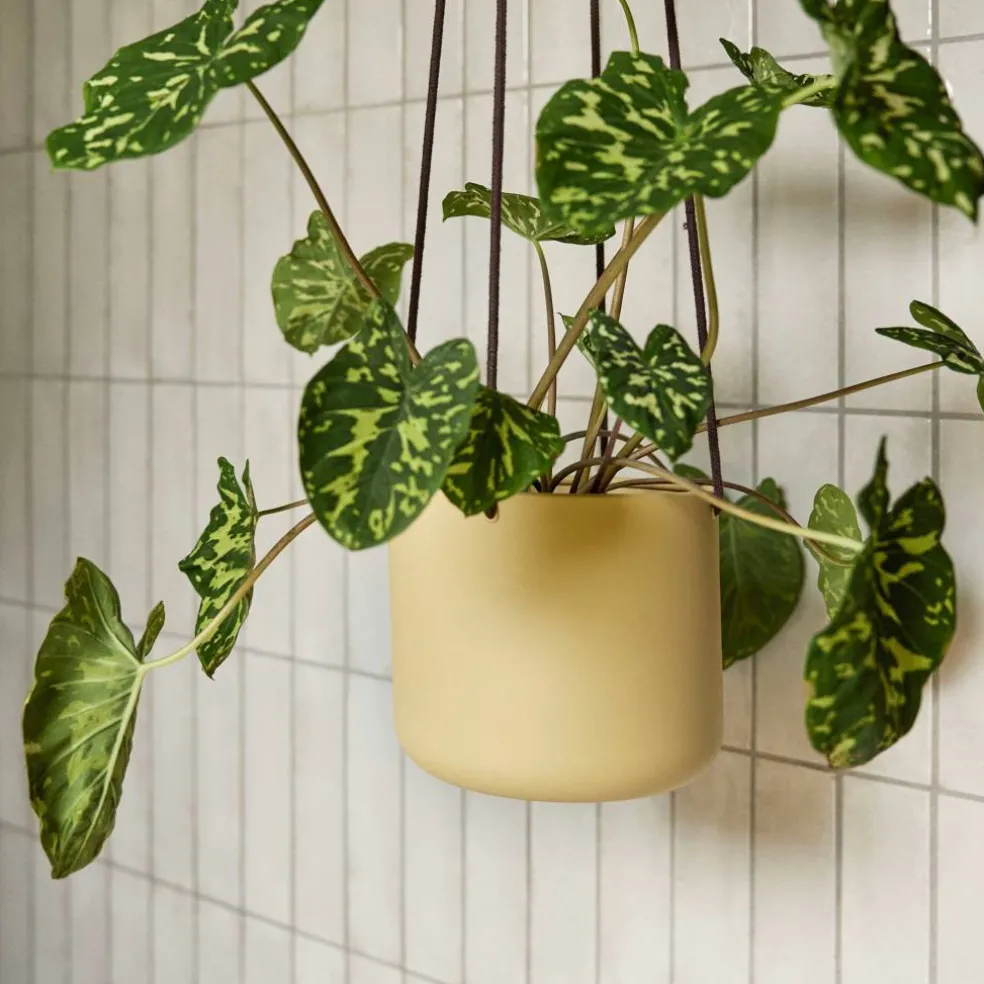 Hängande blomkruka 3 st, beige