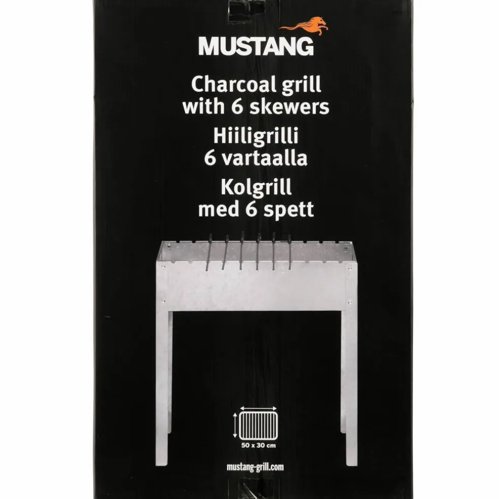 Kolgrill med grillspett