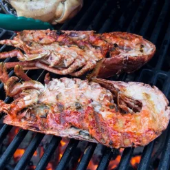 Kolgrill Medium