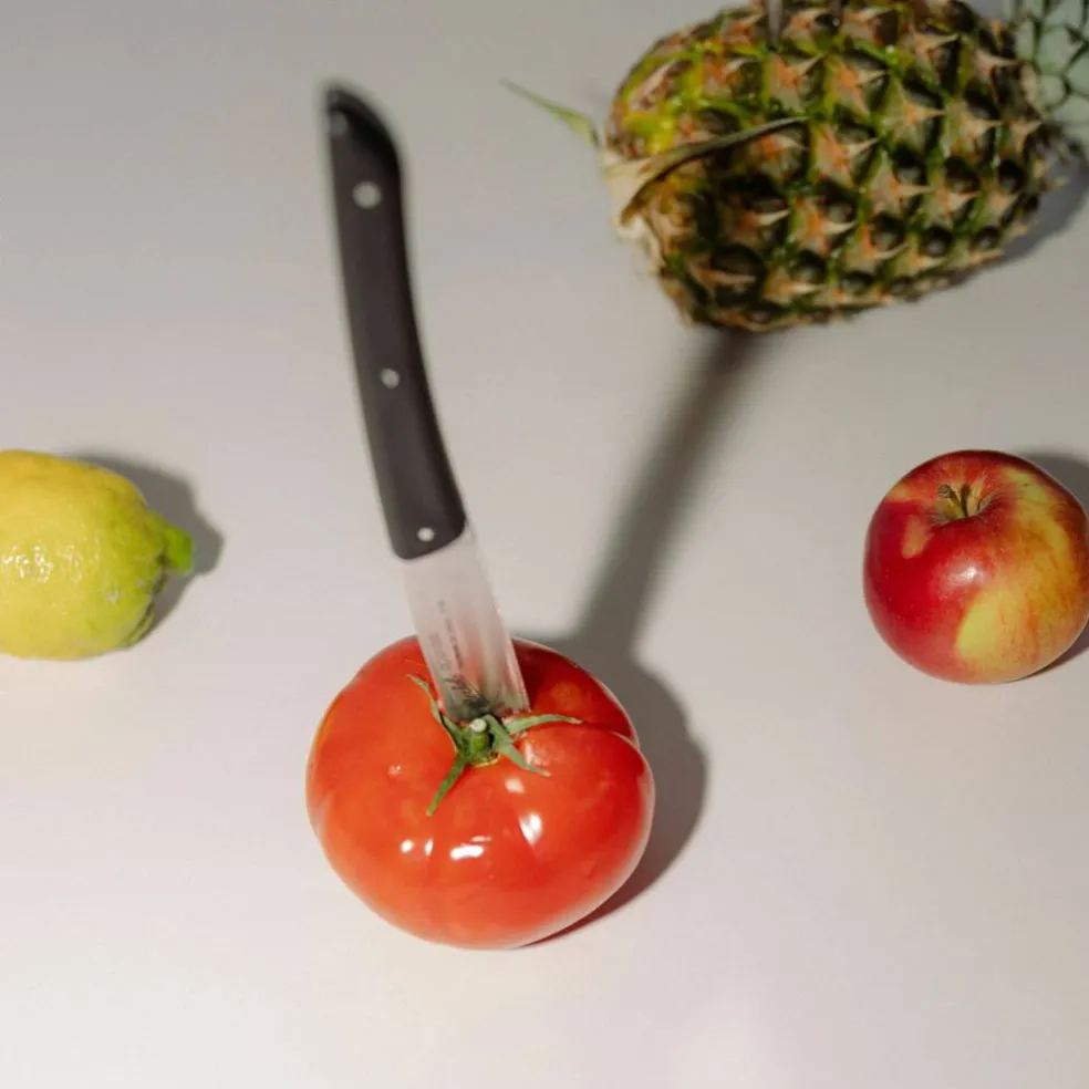 Köttkniv 4-pack, olivgrön