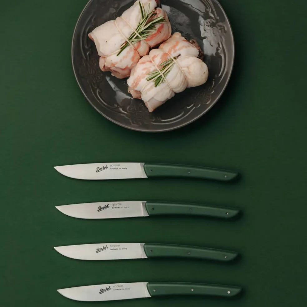 Köttkniv 4-pack, röd
