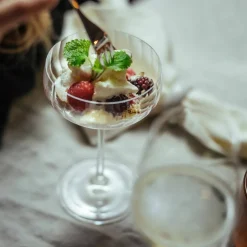 LifeStyle coupe champagneglas 4 st.
