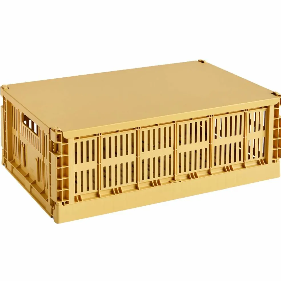 Lock large, golden mint