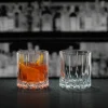 Neat drinkglas från Drink Specific, 2 st.