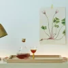 Norr Tray - svart ek