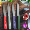 N112 skalknivar 4-pack, landscape colours