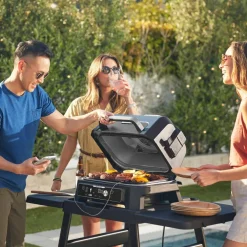 OG901EU Woodfire elgrill