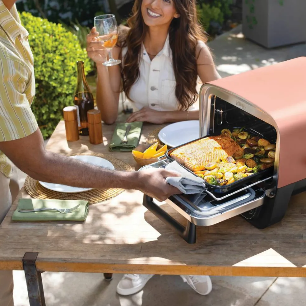 OO101EU Woodfire elgrill