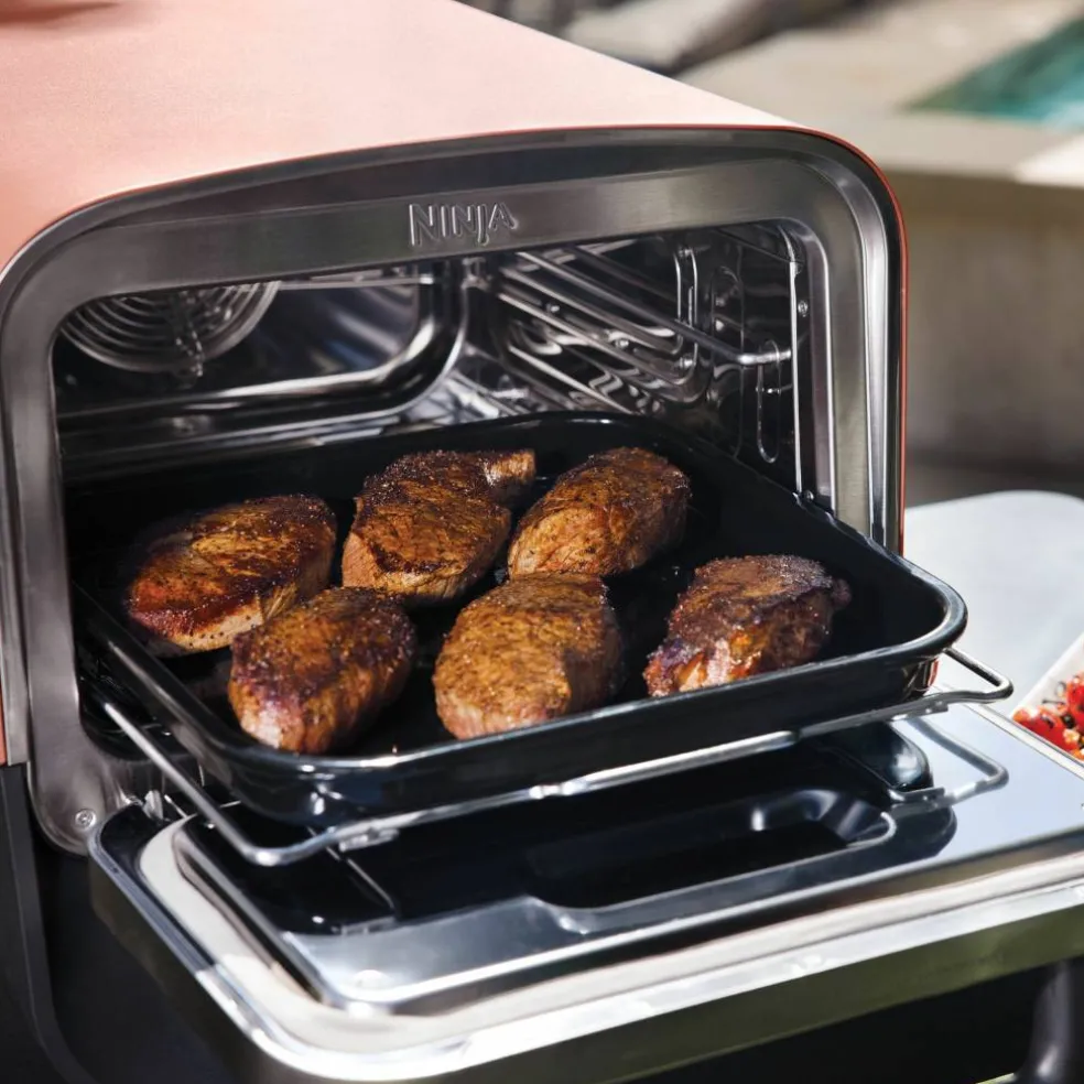 OO101EU Woodfire elgrill
