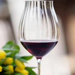 Performance Pinot Noir, 2-pack