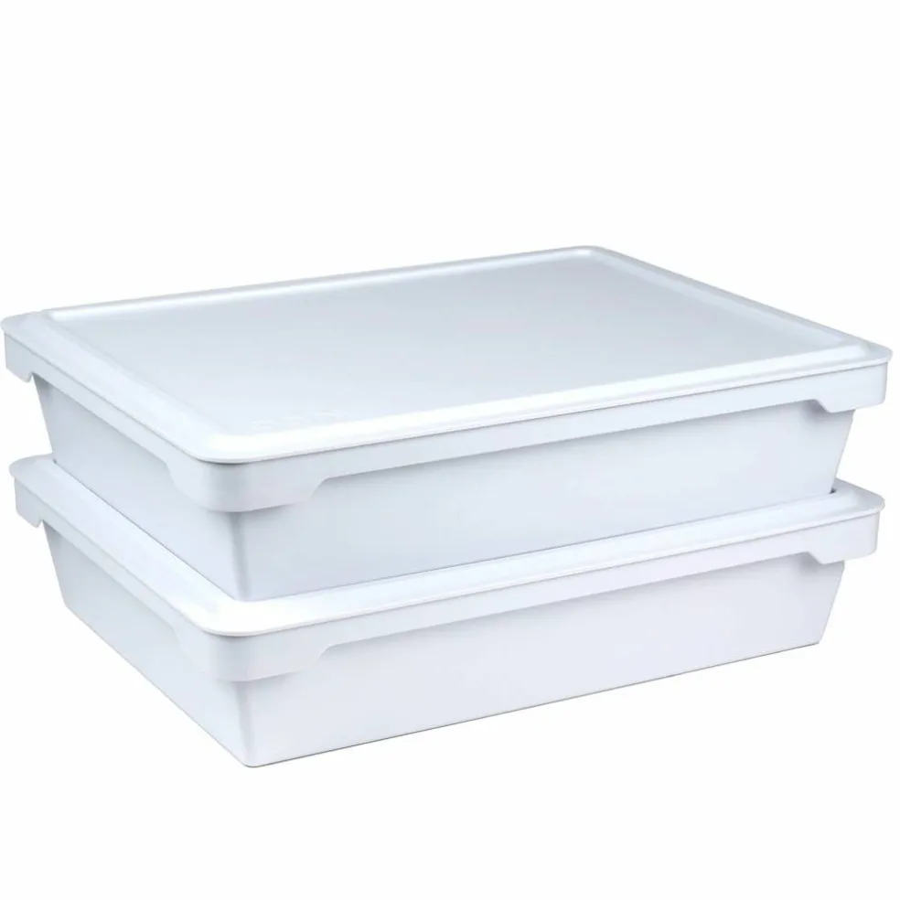 Pizzadeglåda 2-pack