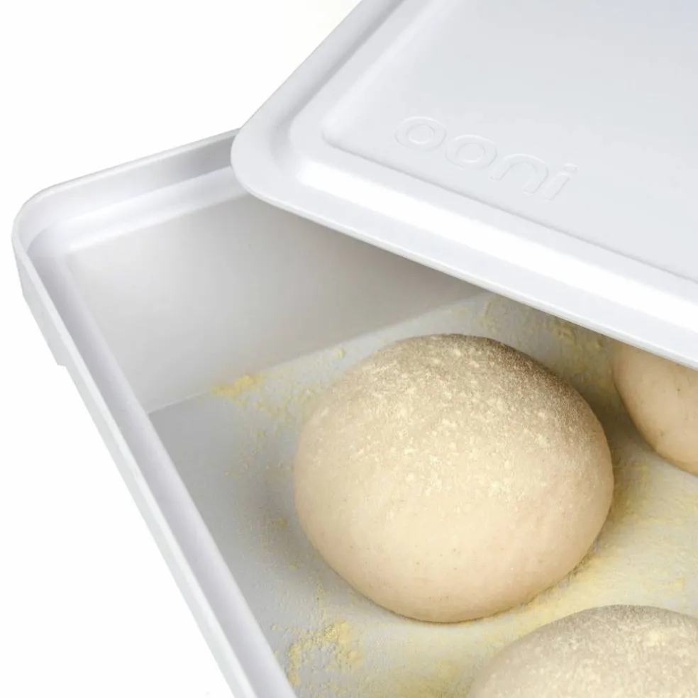 Pizzadeglåda 2-pack