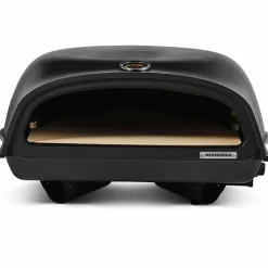 Pizzaugn gasol 16