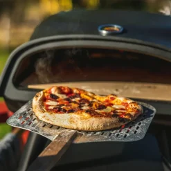 Pizzaugn gasol 16