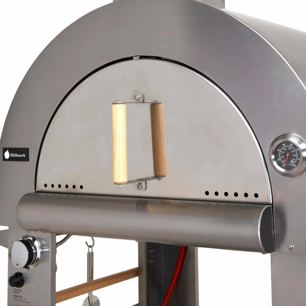 Pizzaugn ved/gas